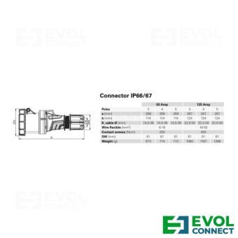 Силовые розетки 125А EVOL GROUP
